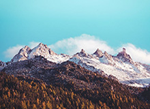 Milan sports-魔术4人20+击退猛龙 贝恩32分英格拉姆空砍35分